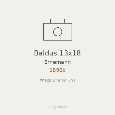Baldus 13x18