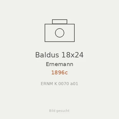 Baldus 18x24