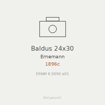 Baldus 24x30