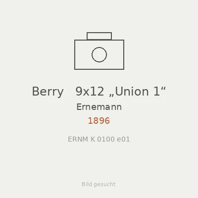 Berry   9x12 „Union 1“