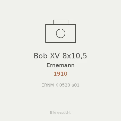 Bob XV 8x10,5