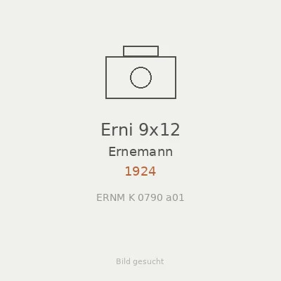 Erni 9x12