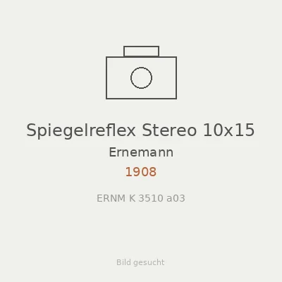 Spiegelreflex Stereo 10x15