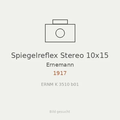 Spiegelreflex Stereo 10x15