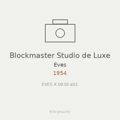 Blockmaster Studio de Luxe