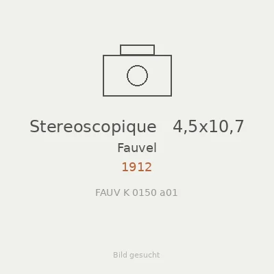 Stereoscopique   4,5x10,7