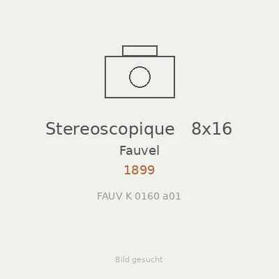 Stereoscopique   8x16