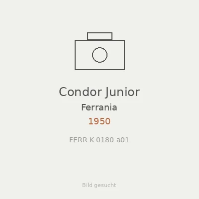 Condor Junior