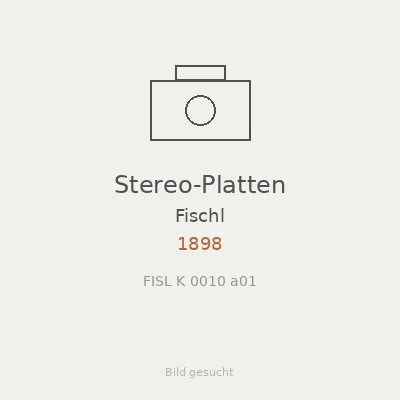 Stereo-Platten