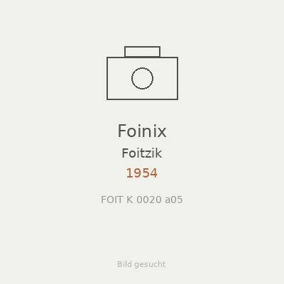 Foinix
