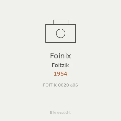 Foinix