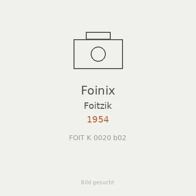 Foinix