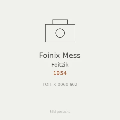Foinix Mess