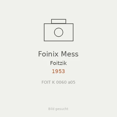 Foinix Mess