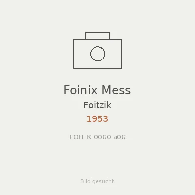 Foinix Mess