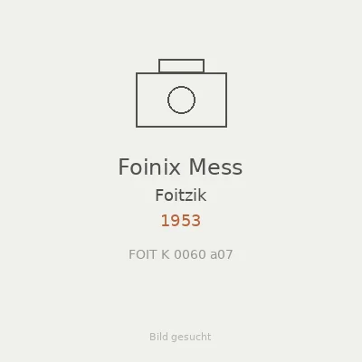 Foinix Mess
