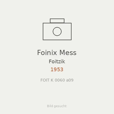 Foinix Mess