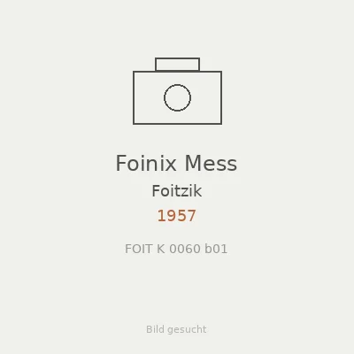 Foinix Mess