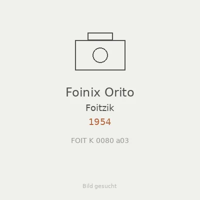 Foinix Orito