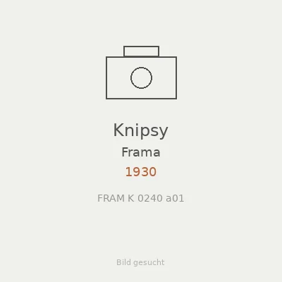 Knipsy
