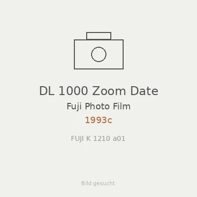 DL 1000 Zoom Date