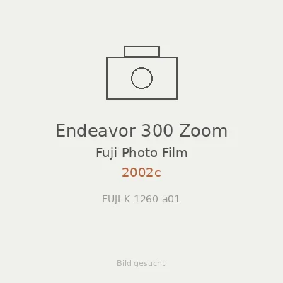 Endeavor 300 Zoom