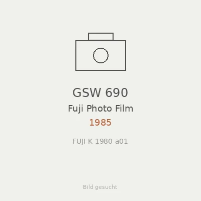 GSW 690