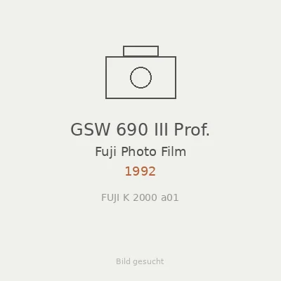 GSW 690 III Prof.