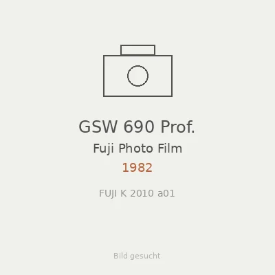 GSW 690 Prof.