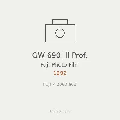 GW 690 III Prof.