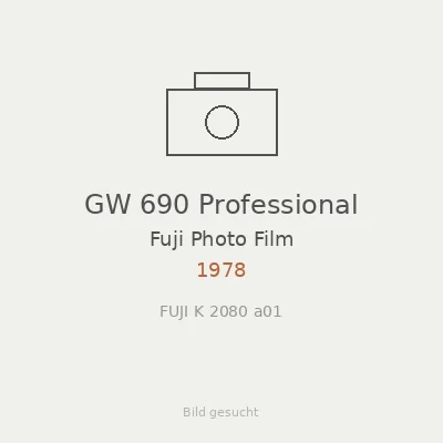 GW 690 Professional