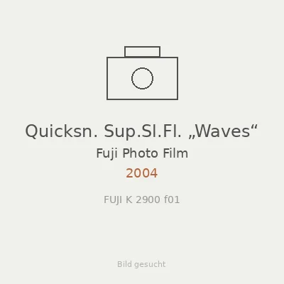 Quicksn. Sup.Sl.Fl. „Waves“