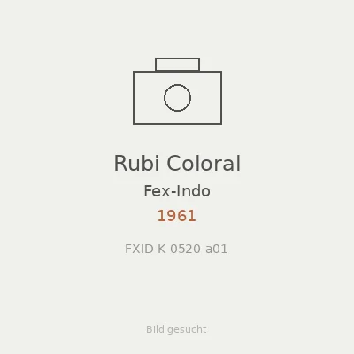 Rubi Coloral