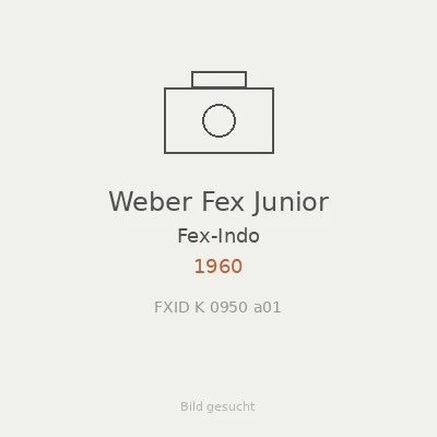 Weber Fex Junior