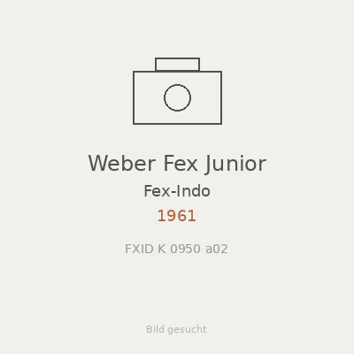Weber Fex Junior