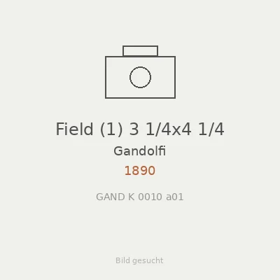 Field (1) 3 1/4x4 1/4