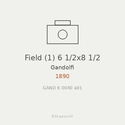 Field (1) 6 1/2x8 1/2