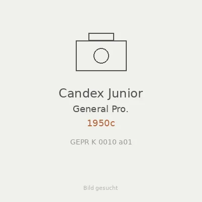 Candex Junior