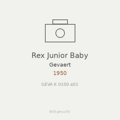 Rex Junior Baby