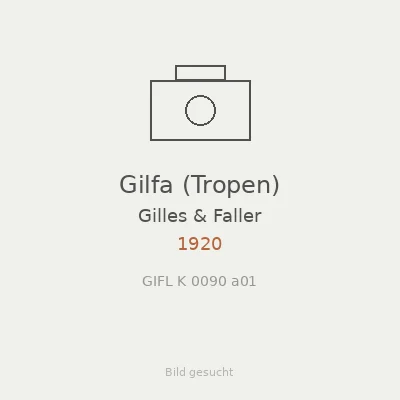 Gilfa (Tropen)
