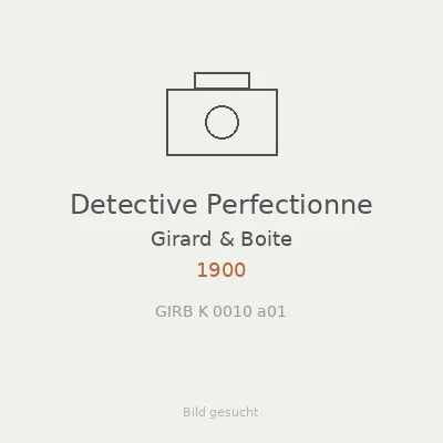 Detective Perfectionne