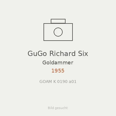 GuGo Richard Six