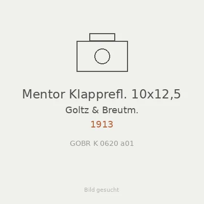 Mentor Klapprefl. 10x12,5