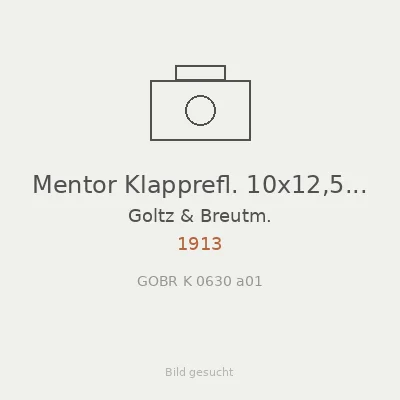 Mentor Klapprefl. 10x12,5 quad.