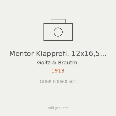 Mentor Klapprefl. 12x16,5 quad.