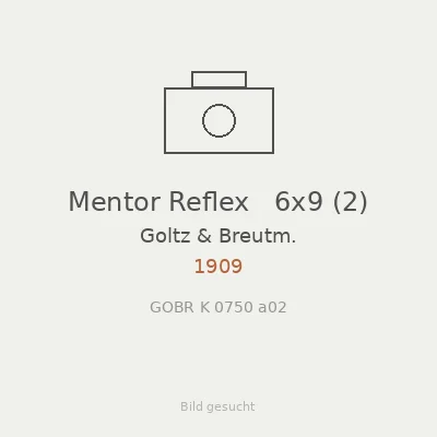 Mentor Reflex   6x9 (2)