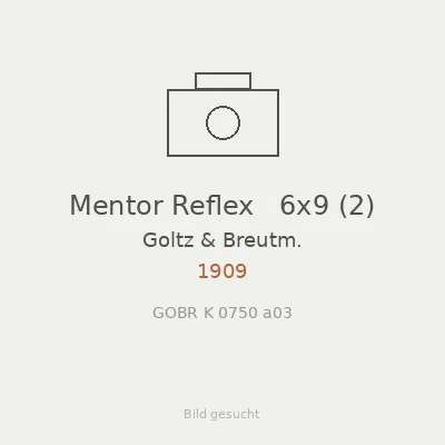 Mentor Reflex   6x9 (2)
