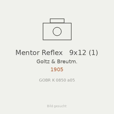 Mentor Reflex   9x12 (1)