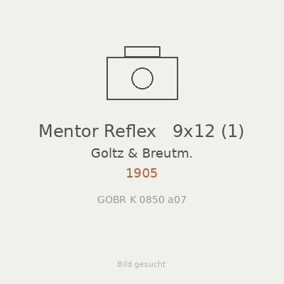 Mentor Reflex   9x12 (1)