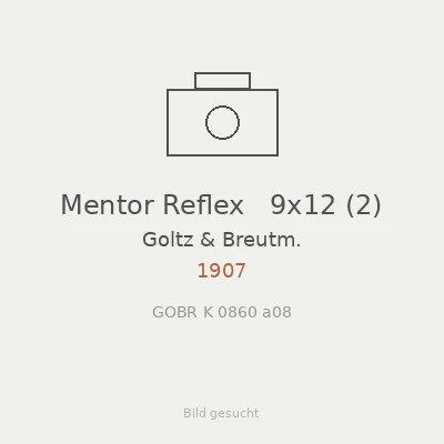 Mentor Reflex   9x12 (2)